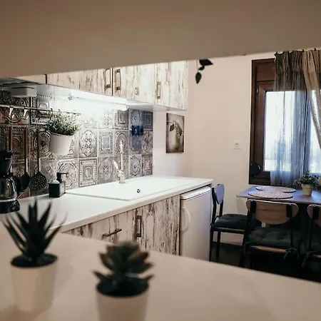 Stella's House